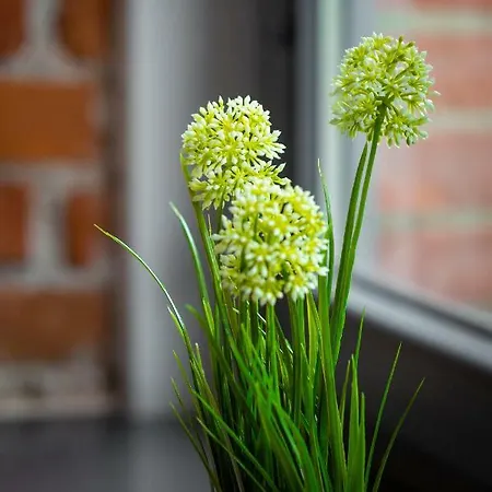 Lejlighed Amistik